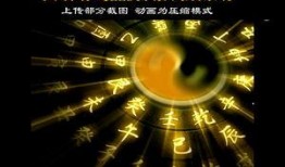 八卦最新爆料视频大全,揭秘娱乐圈幕后真相